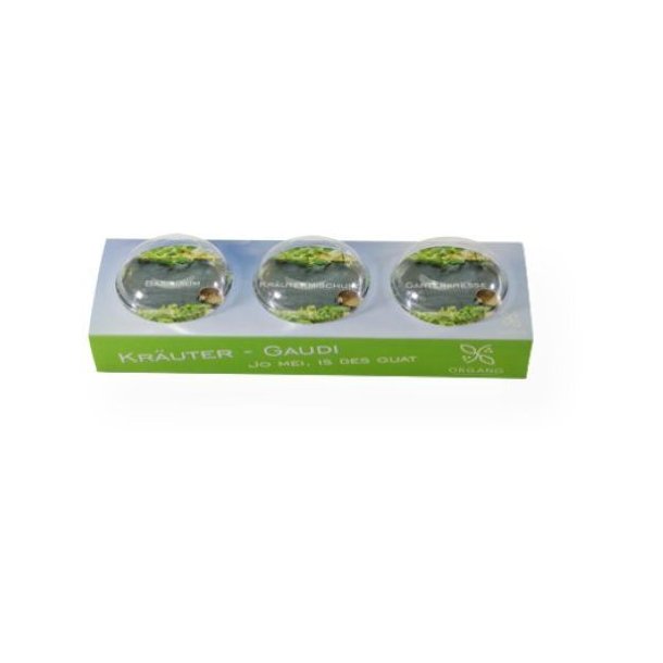 3er-Set Mini-Gewächshaus