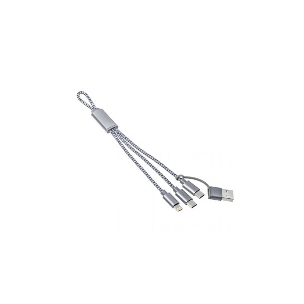 4-in-1 Ladekabel REEVES-EDINBURGH