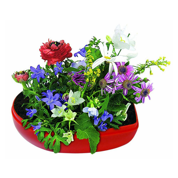 Blumen-Herz