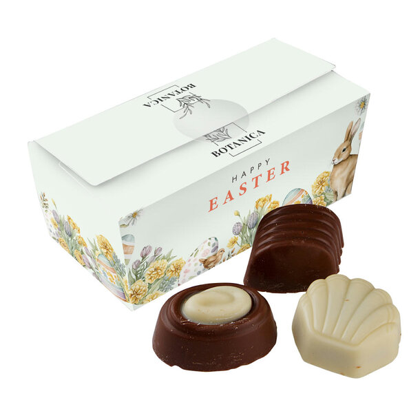 Box mit 10 Belgische Schokolade Pralinen