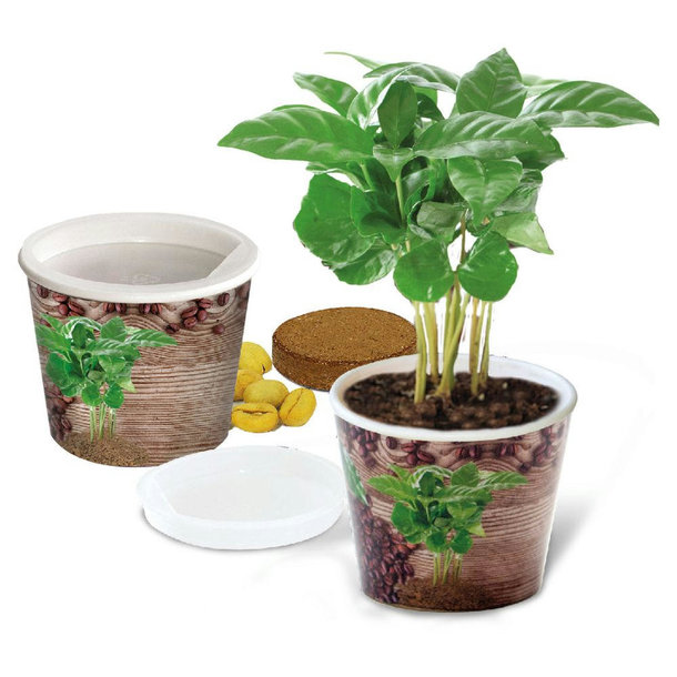 Coffee 2Grow