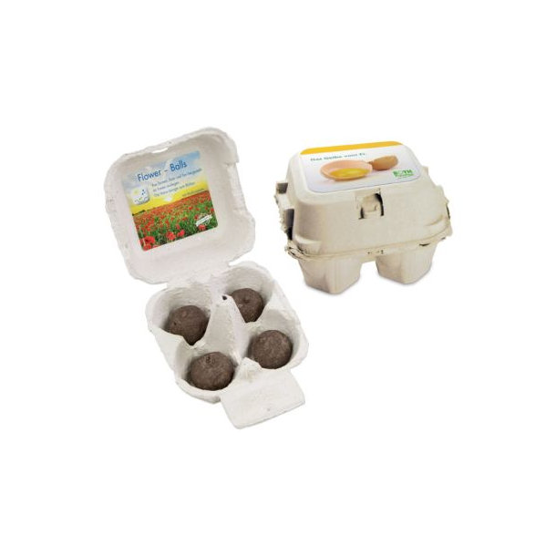 Das Grüne vom Ei - Flower-Ball Box Sommerblumen