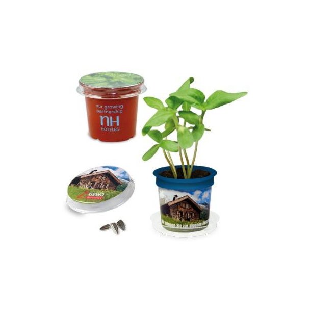 Florero-Töpfchen Einleger und Banderole blau