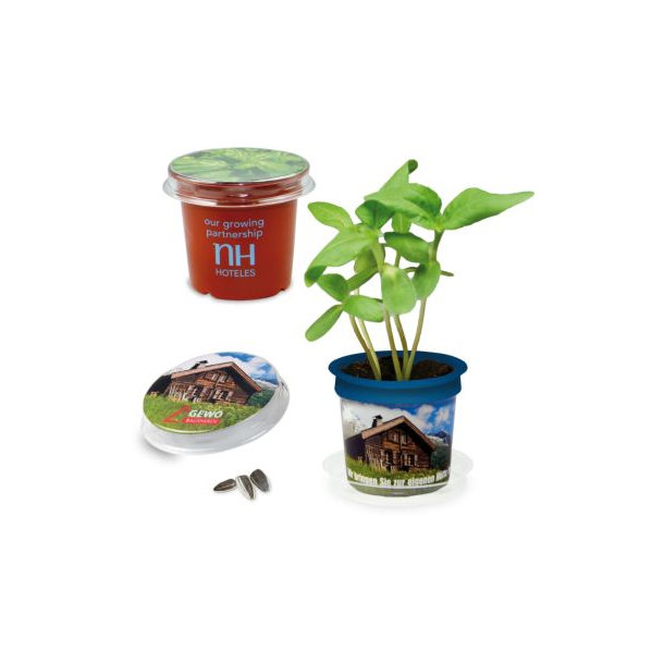 Florero-Töpfchen Einleger und Banderole schwarz