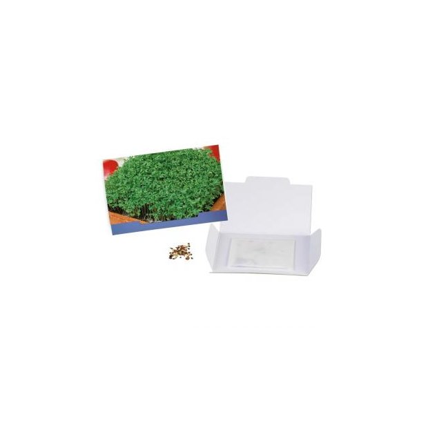 Flower-Card - Gartenkresse