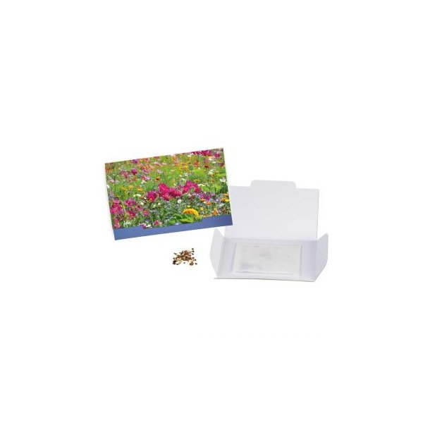 Flower-Card - Sommerblumen