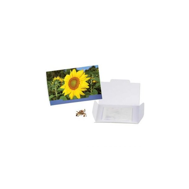 Flower-Card - Sonnenblume