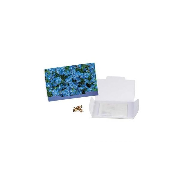 Flower-Card - Vergissmeinnicht