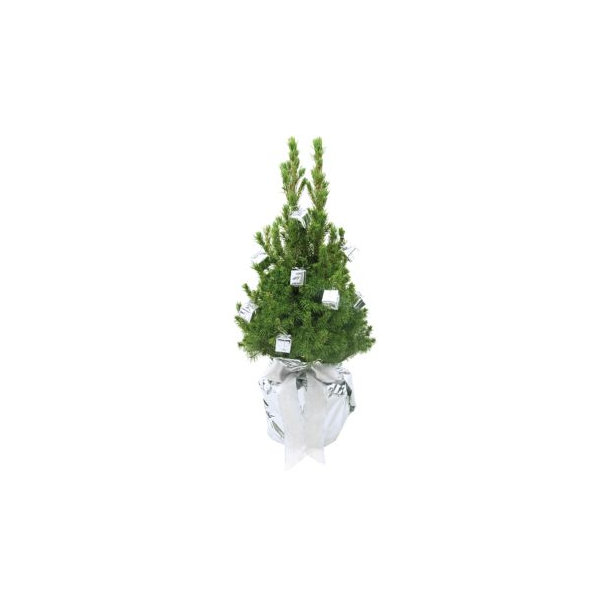Geschenke-Bäumchen 35-45 cm