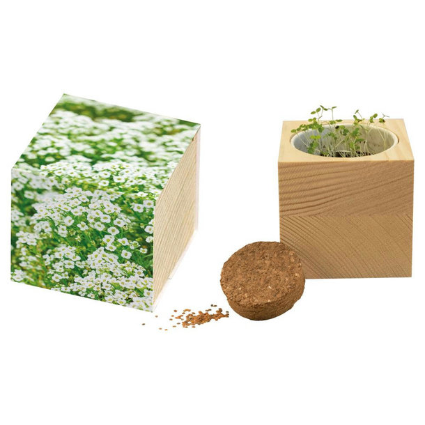 Großer Natur-Würfel Schneeteppich