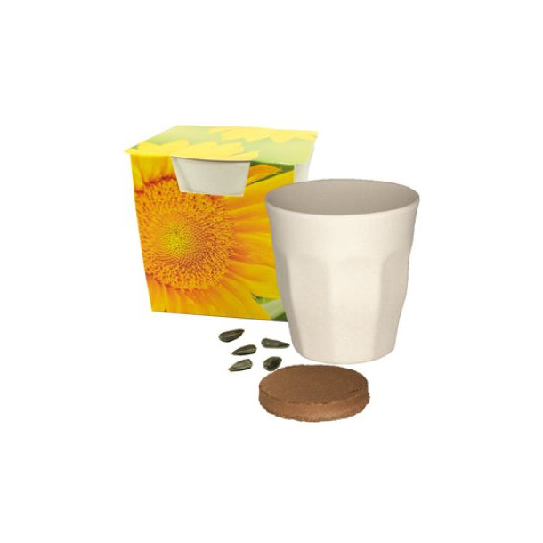 Growing Cup Sunshine