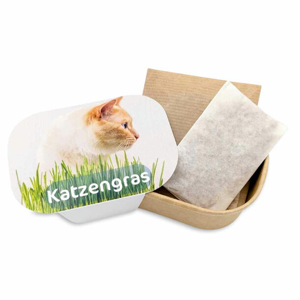 Katzengras Pflanzset - Katzengras