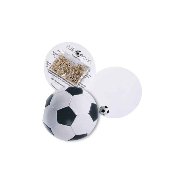 Klappkärtchen Fußball