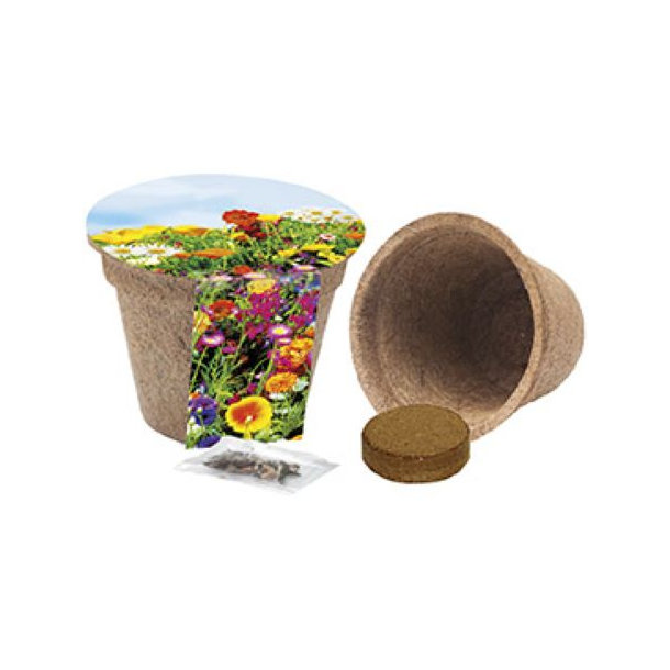 Kokos-Pflanztopf Blumenwiese