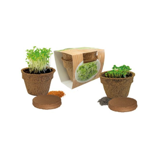 Kräuterduo Eco