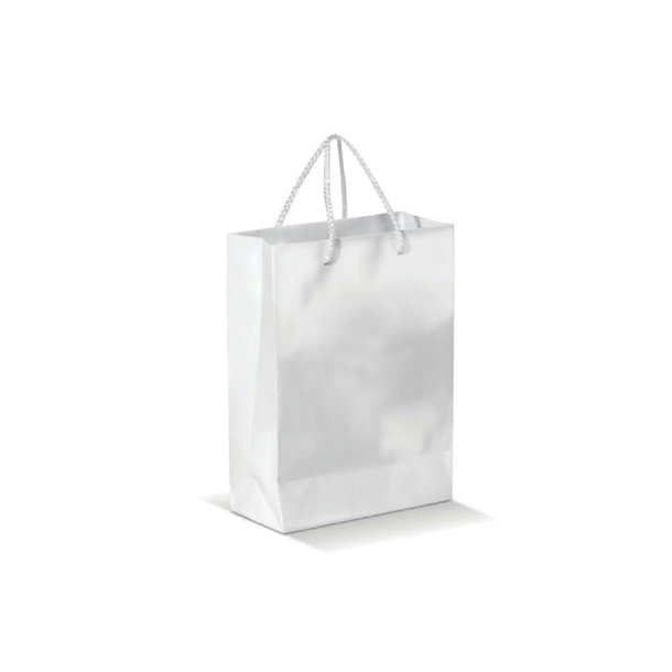 Laminierte Papiertasche, groß
