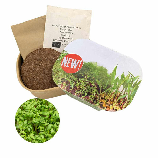 Microgreen Samen Pflanzset (klein) - Kresse
