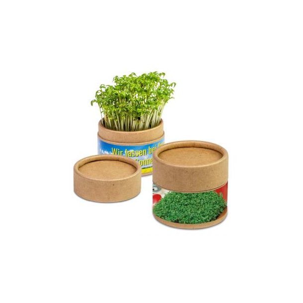 Pflanz-Cup - Gartenkresse