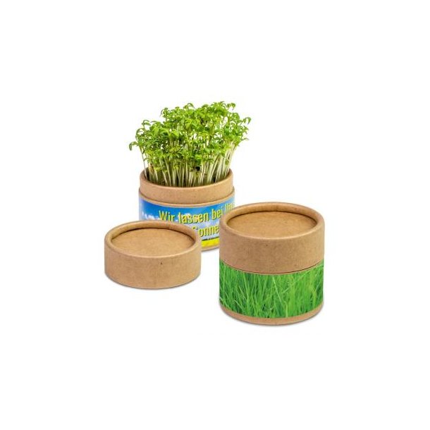 Pflanz-Cup mit Samen - Gras