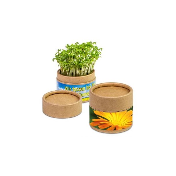 Pflanz-Cup - Ringelblume