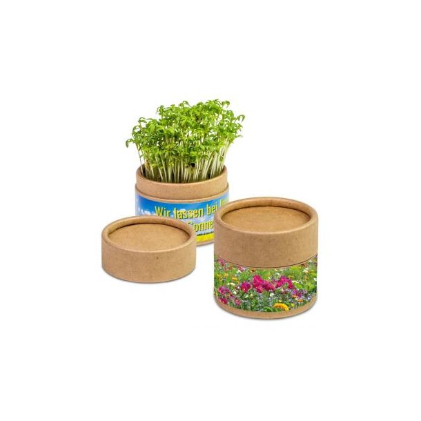 Pflanz-Cup - Sommerblumen