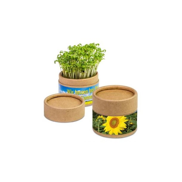 Pflanz-Cup - Sonnenblume