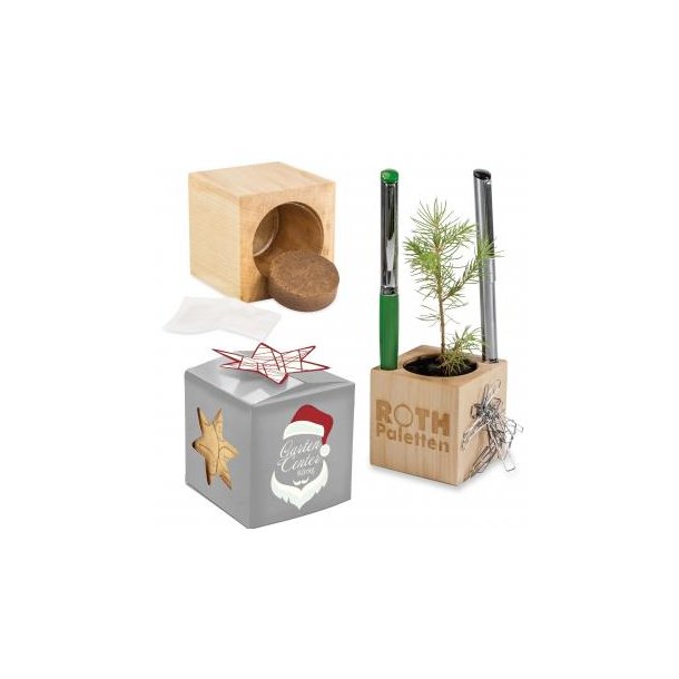 Pflanz-Holz Büro Star-Box Xmas - Fichte, 2 Seiten gelasert