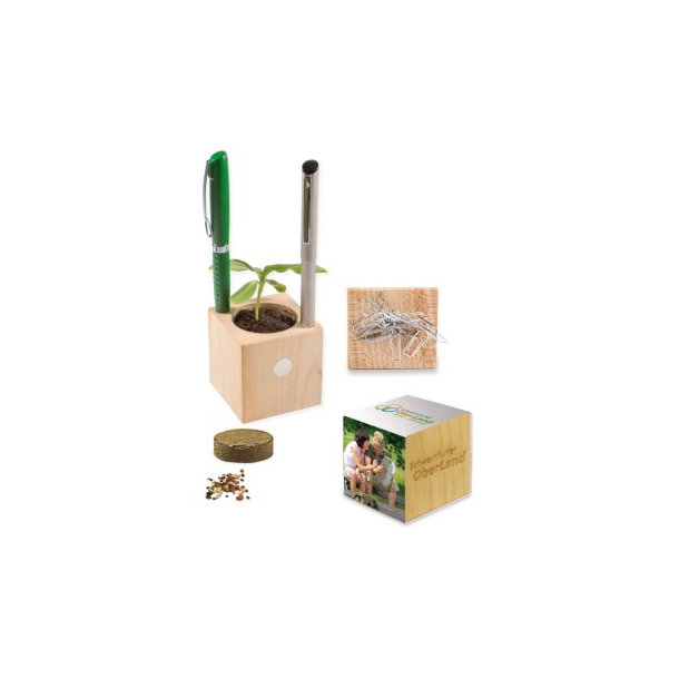 Pflanz-Holz Büro
