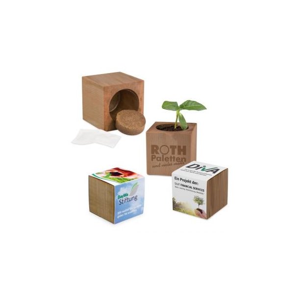 Pflanz-Holz Erle Standardpapier inkl. 2 Seiten gelasert - Gewürzpaprike
