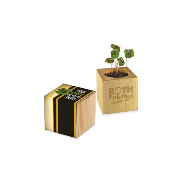 Pflanz-Holz Glücksklee - Standardmotiv inkl. 1 Seite gelasert