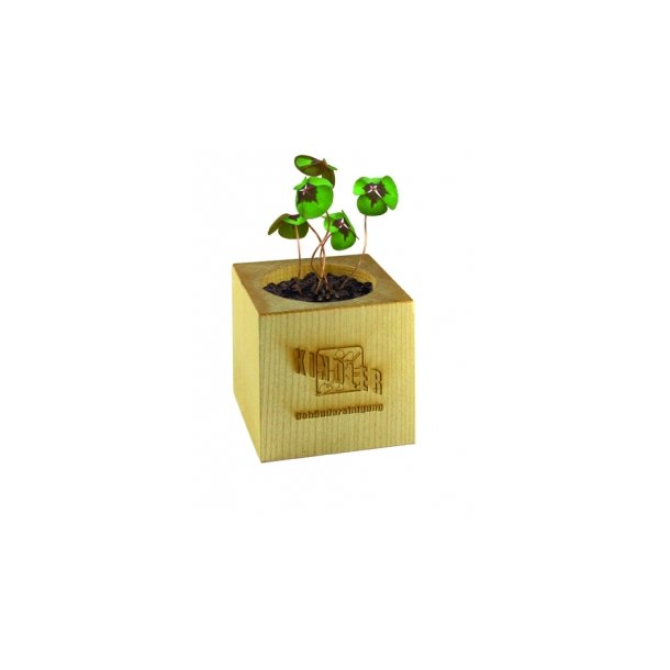 Pflanz-Holz - Standardmotiv - Glücksklee - ohne Lasergravur (* Je nach Verfügbarkeit der Glücksklee-Zwiebeln)