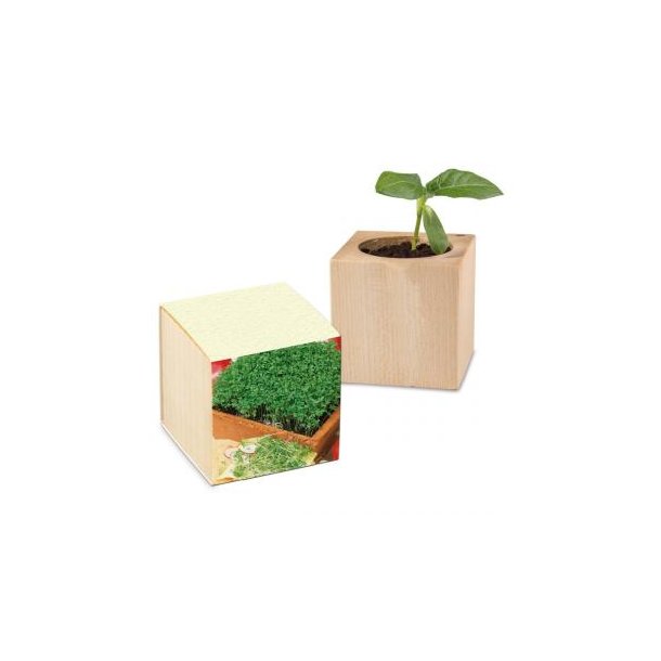 Pflanz-Holz Graspapier - Gartenkresse