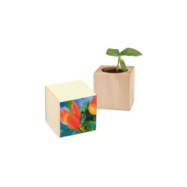 Pflanz-Holz Graspapier - Gewürzpaprike
