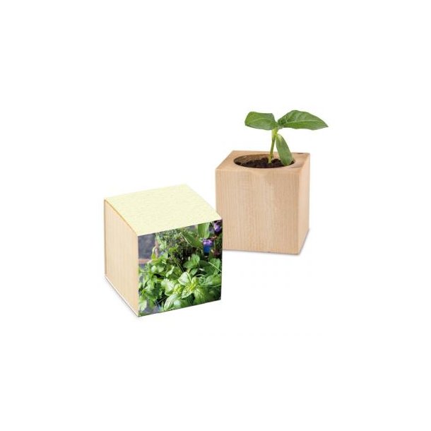 Pflanz-Holz Graspapier - Kräutermischung