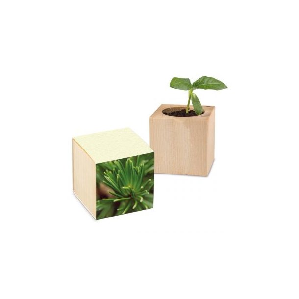 Pflanz-Holz Graspapier inkl. 1 Seite gelasert - Fichte
