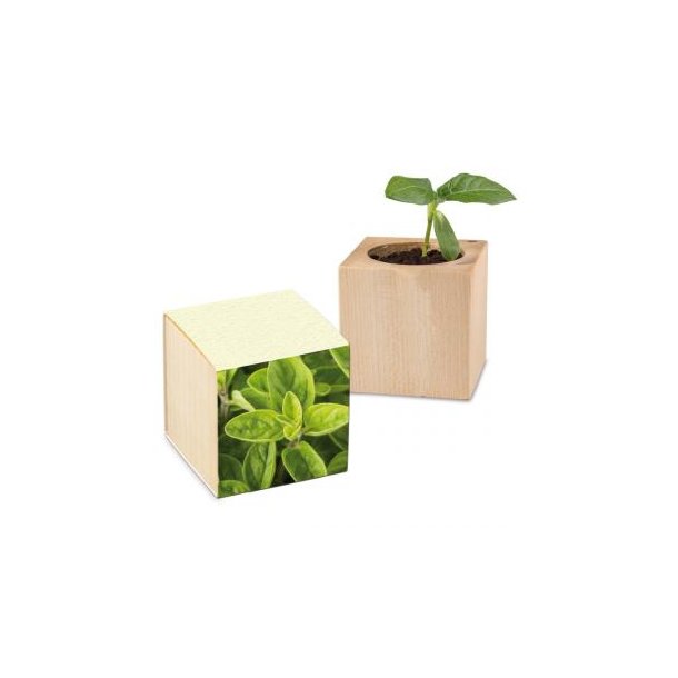 Pflanz-Holz Graspapier inkl. 1 Seite gelasert - Majoran