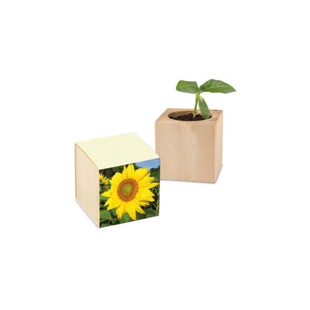 Pflanz-Holz Graspapier inkl. 1 Seite gelasert - Sonnenblume