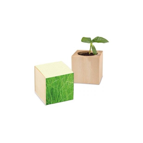 Pflanz-Holz Graspapier inkl. 2 Seiten gelasert - Gras