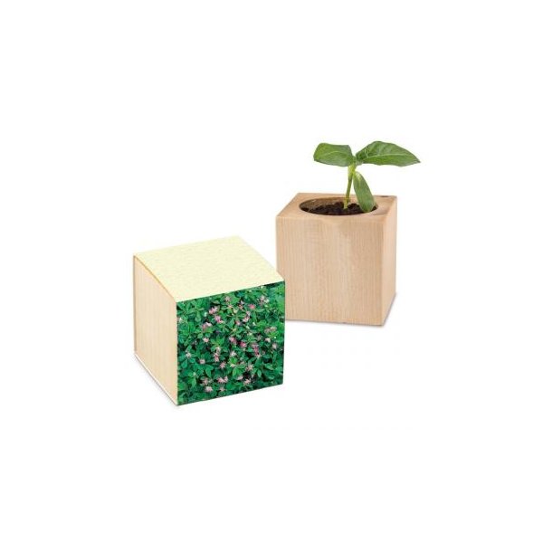 Pflanz-Holz Graspapier inkl. 2 Seiten gelasert - Persischer Klee
