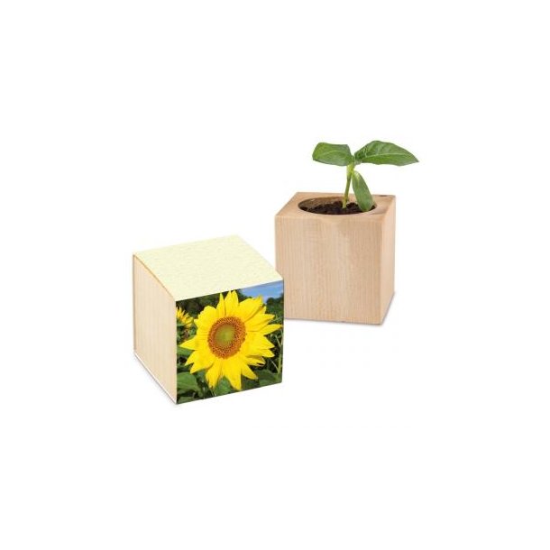Pflanz-Holz Graspapier inkl. 2 Seiten gelasert - Sonnenblume