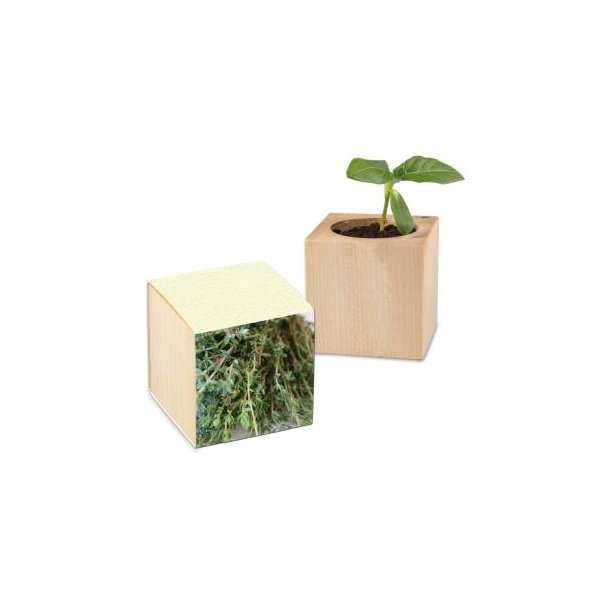 Pflanz-Holz Graspapier inkl. 2 Seiten gelasert - Thymian