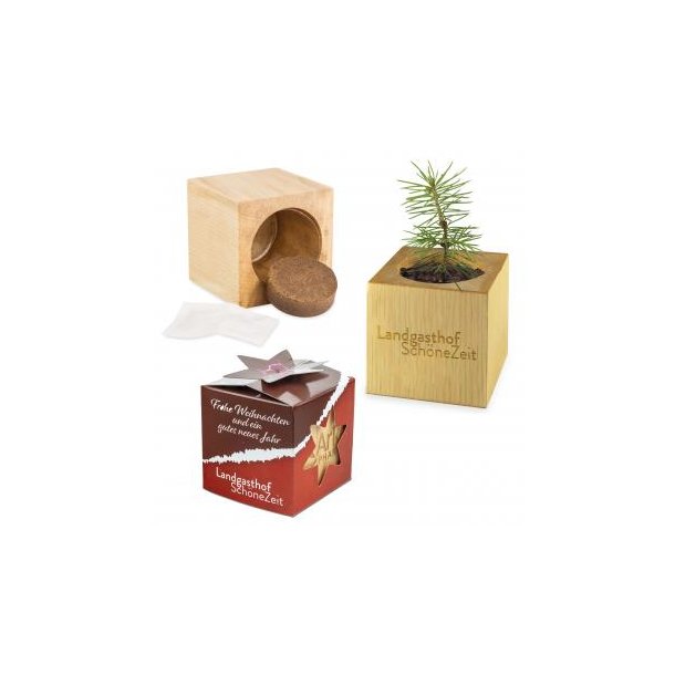 Pflanz-Holz Maxi Star-Box Xmas - Fichte, 2 Seiten gelasert