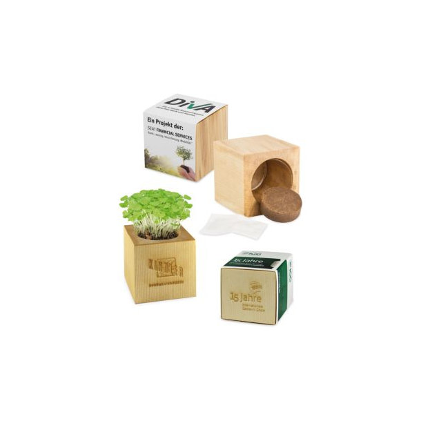 Pflanz-Holz Maxi 