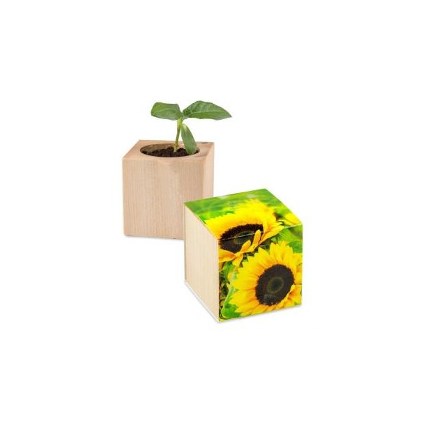 Pflanz-Holz - Standardmotiv - Sonnenblume - inkl. Lasergravur auf zwei Seiten