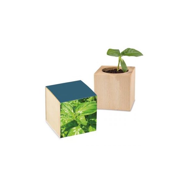 Pflanz-Holz Standardpapier - Basilikum
