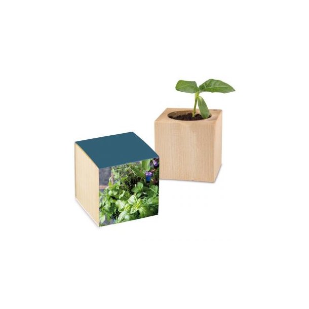 Pflanz-Holz Standardpapier - Kräutermischung