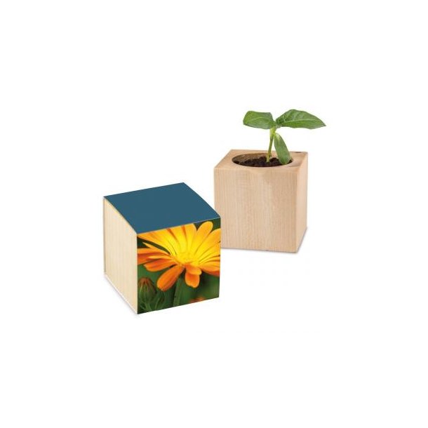 Pflanz-Holz Standardpapier - Ringelblume