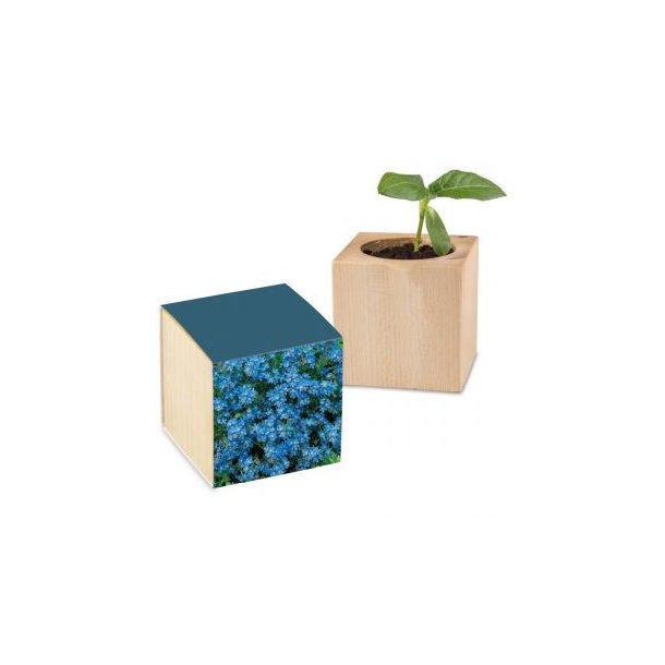 Pflanz-Holz Standardpapier - Vergissmeinnicht