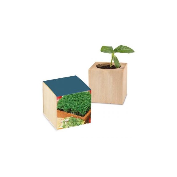 Pflanz-Holz Standardpapier inkl. 1 Seite gelasert - Gartenkresse