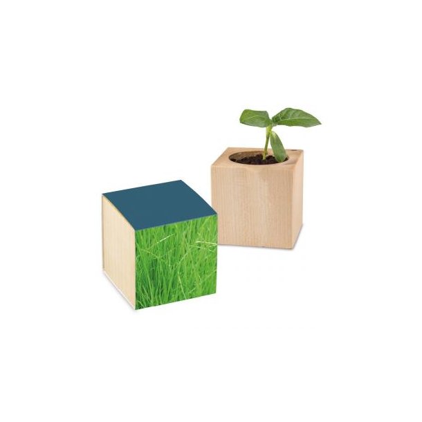 Pflanz-Holz Standardpapier inkl. 1 Seite gelasert - Gras